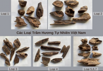 Vòng Tay Trầm Hương Cận Chìm Nước